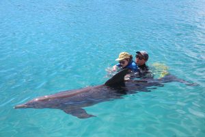 Dolfijn therapie Curacao zwemmen