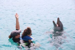 Dolfijn therapie Curacao